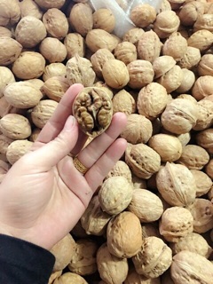 1kg Óc chó nếp Tây Bắc