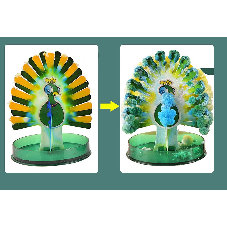 Đồ chơi nuôi tinh thể con công mọc lông sặc sỡ (Magic Peacock) - Tinh thể KDP /  ADP