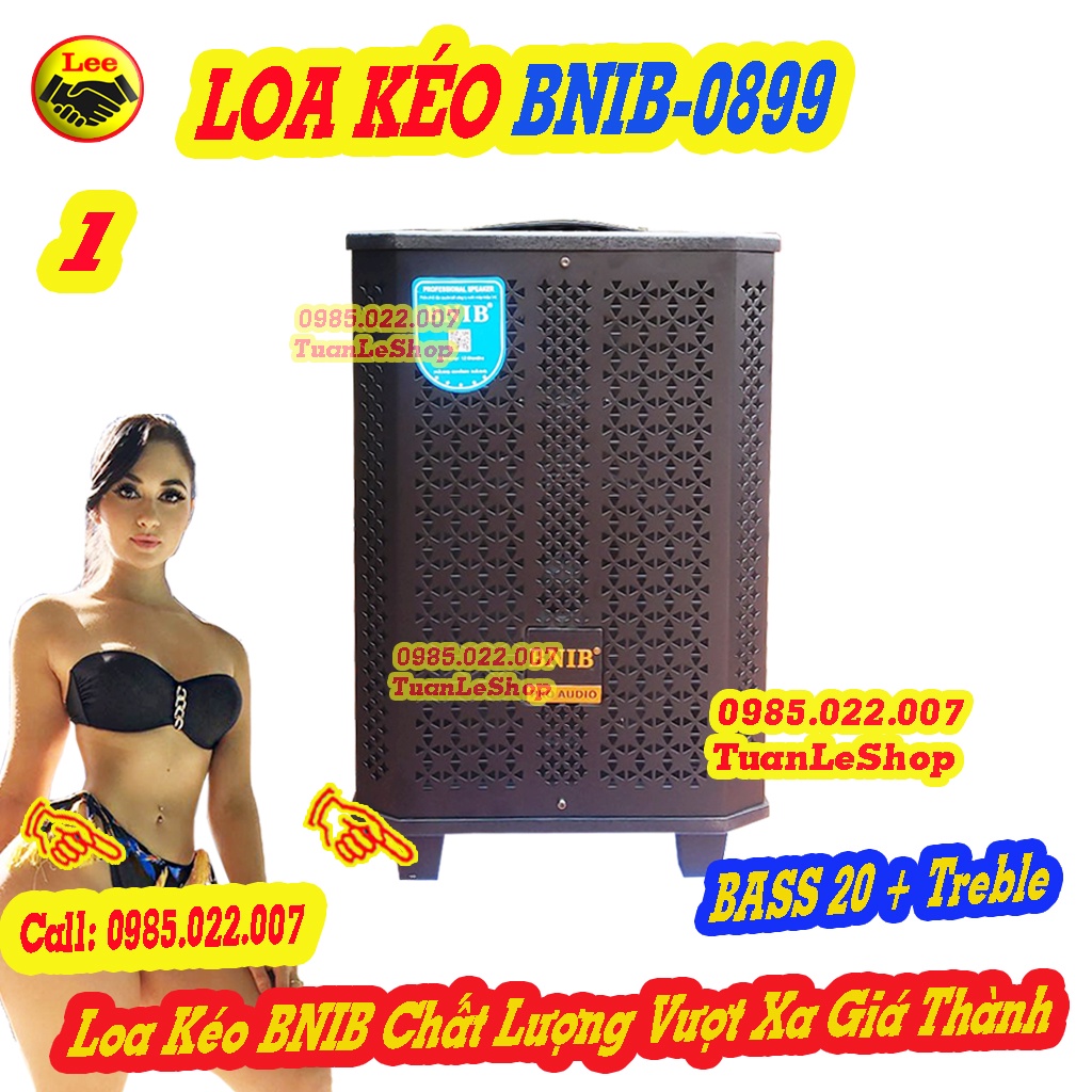 LOA KÉO BNIB – 0899 BASS 20 HÀNG CAO CẤP CHÍNH HÃNG – LOA KẸO KÉO BASS 2 TẤC