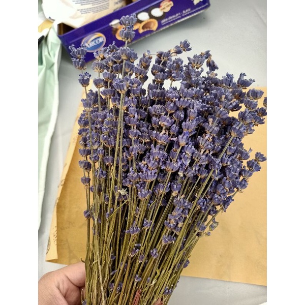 Bó hoa oải hương Lavender khô nhập Pháp 200 cành [ Tặng Túi Thơm]