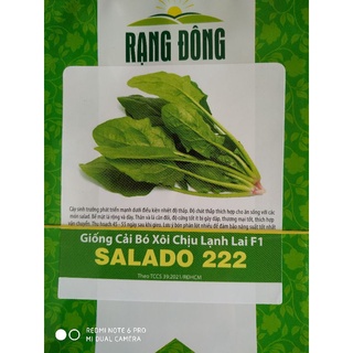 Hạt giống Cải bó xôi chịu lạnh F1 5gr