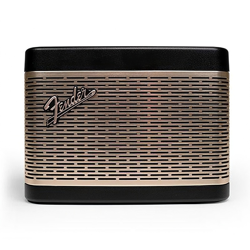 Loa Fender Newport 2