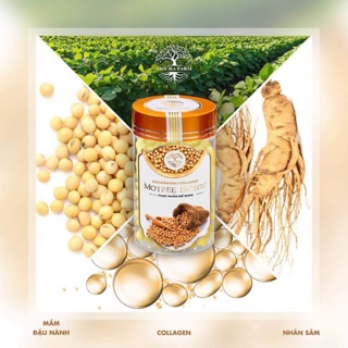 Kẹo mầm tăng vòng 1 mocha