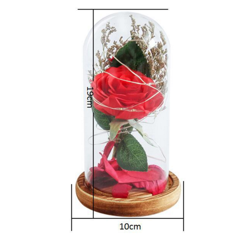 WR Birthday Gift Beauty and The Beast Red Rose W/ Fallen Petals In A Glass Dome on A Wooden Base for Christmas Valentine's Gifts HBEJ