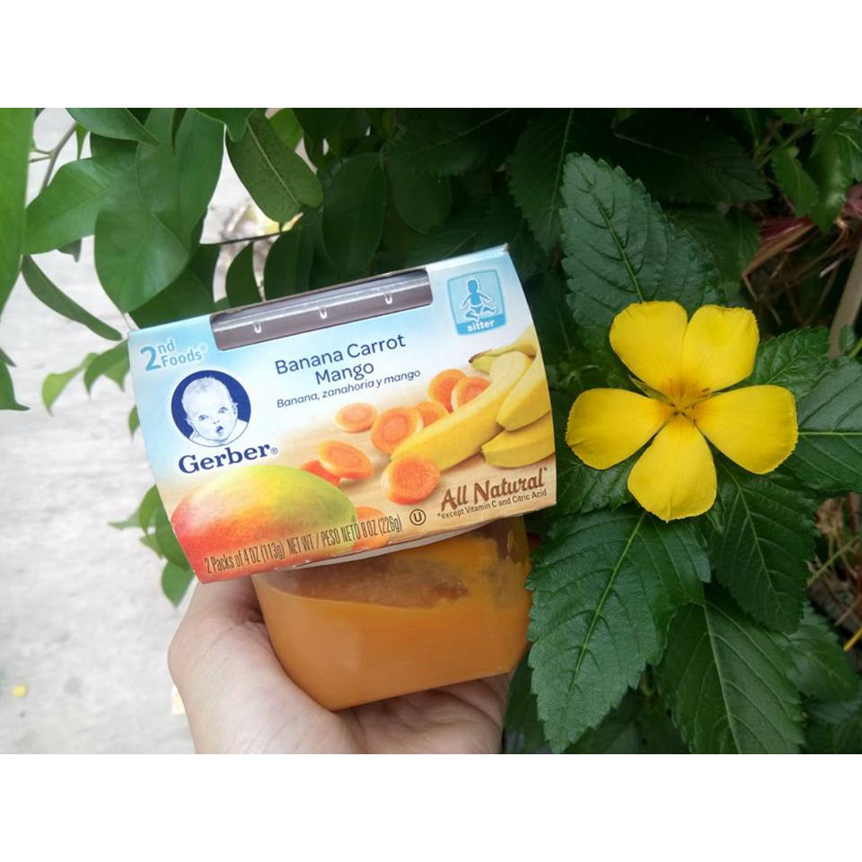 TRÁI CÂY VÀ RAU CỦ NGHIỀN GERBER