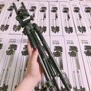 Gậy chụp hình tripod