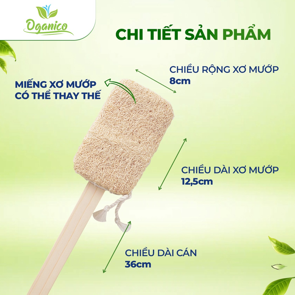 Cây chà lưng xơ mướp handmade tắm, tẩy tế bào chết, massage body - Oganico