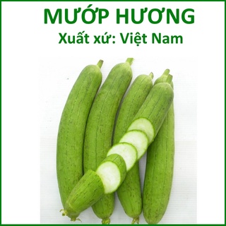 Hạt giống mướp hương lai f1