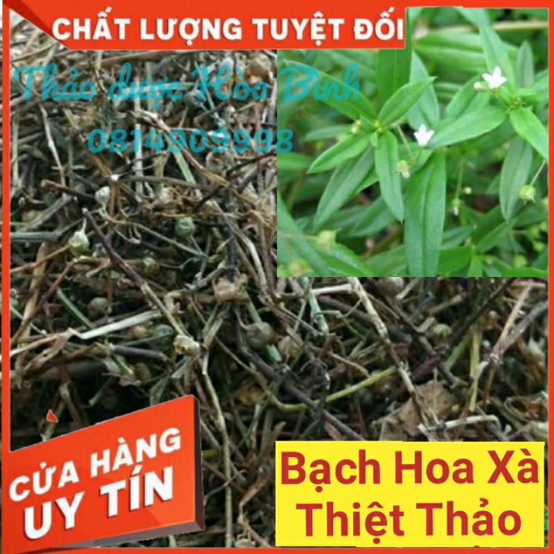 1kg Bạch Hoa Xà Thiệt Thảo - Hàng chuẩn (khô, sạch, nguyên chất)