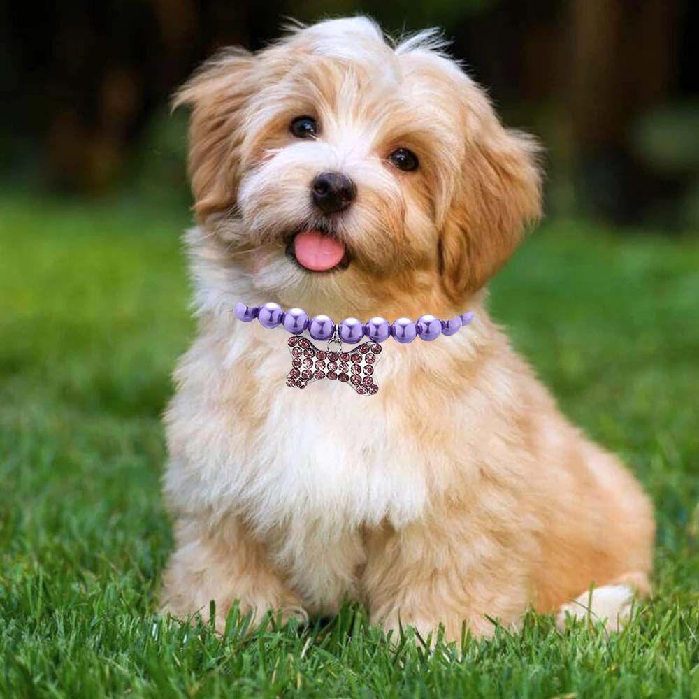 Vòng Cổ Dễ Thương Dành Cho Thú Cưng