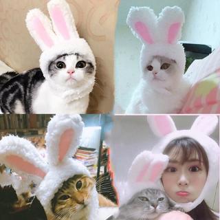 Nón Tai Thỏ Xinh Xắn Dành Cho Thú Cưng
