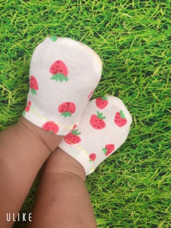 Combo 10 đôi giày vải cotton