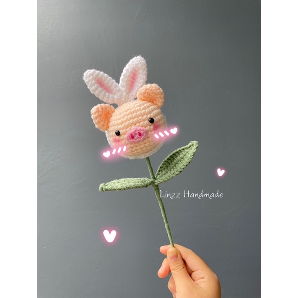 Hoa len đầu heo ngộ nghĩnh