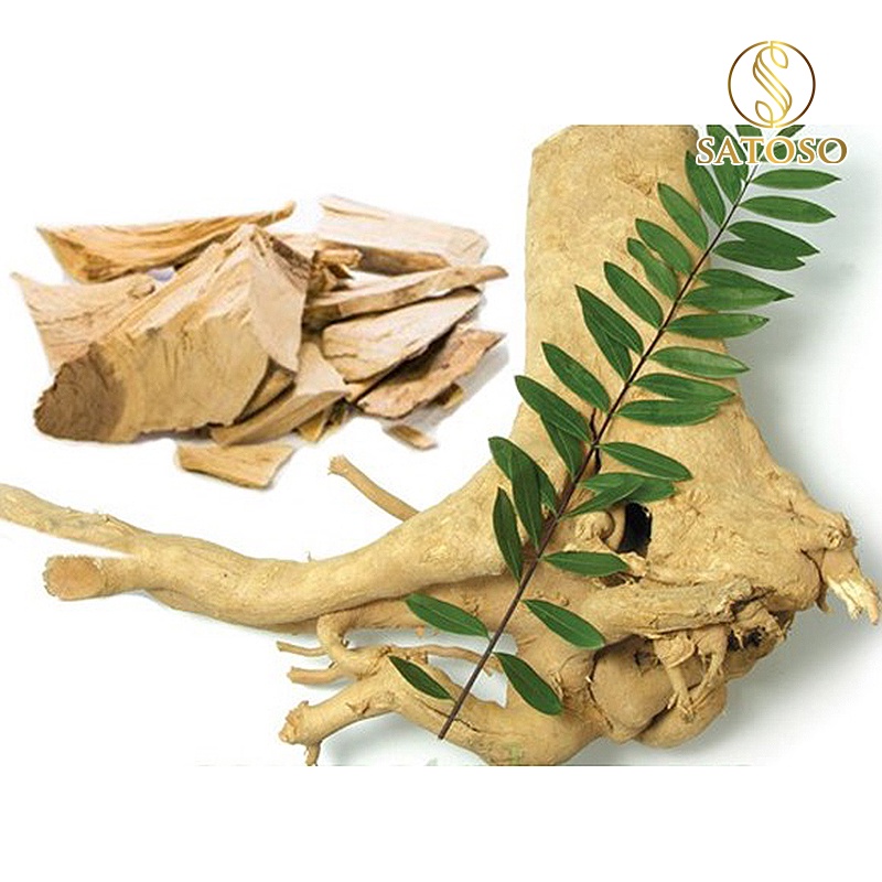 Rễ mật nhân thượng hạng tốt cho si.nh l.ý nam SATOSO 1kg SA39