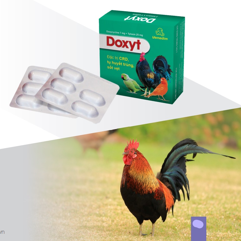 Viên uống Doxyt Tab Vemedim giảm khò khè, sổ mũi, kém ăn cho chim cảnh, gà đá, hộp 10 viên