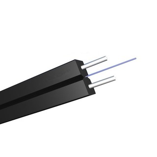 250M Cáp quang 1 fo bấm sẵn 2 đầu SC