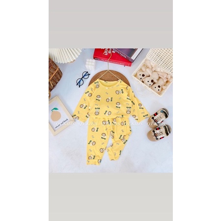 (MS24)Bộ dài tay thun lạnh siêu dễ thương cho bé trai/bé gái