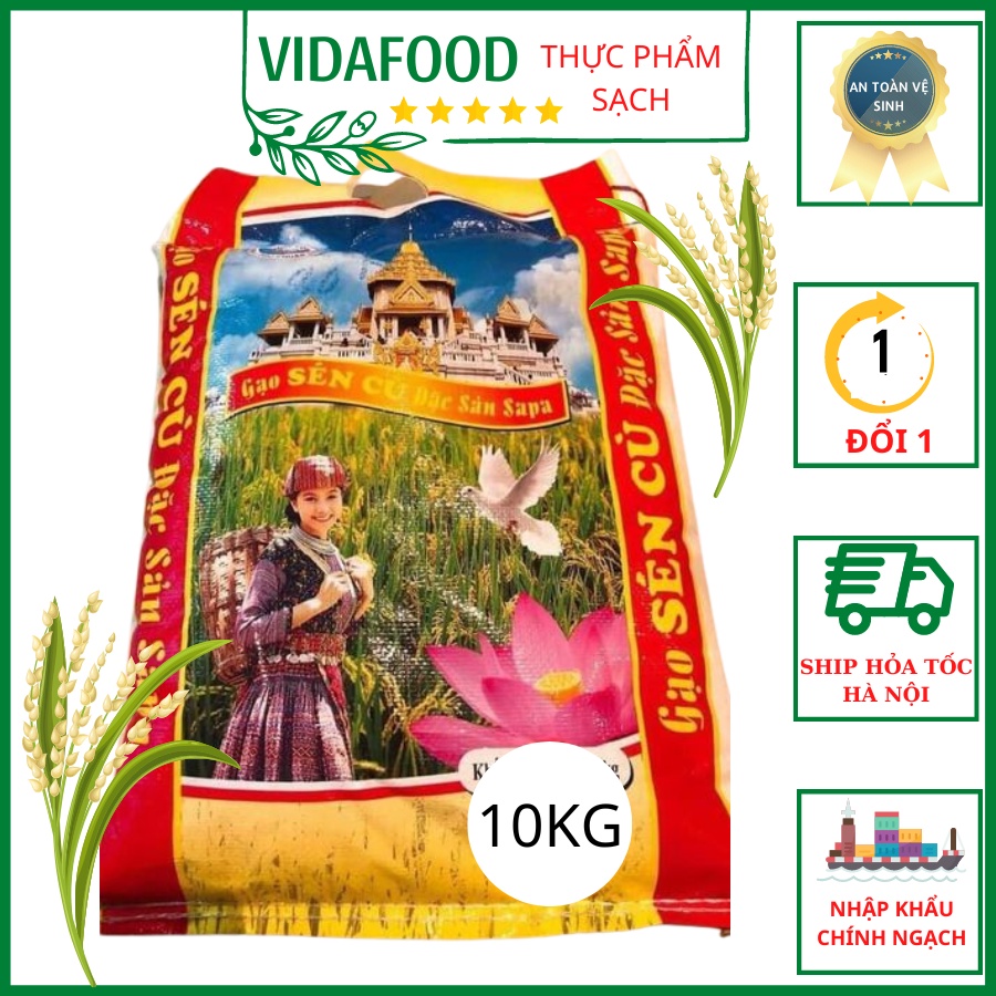 Gạo Sén Cù Hạt Tròn Bao 10kg Đặc Sản Tây Bắc, Loại 1, 10 Hạt Như 1, Thơm Gạo, Ngọt Vị Cơm, Ship Hỏa Tốc Hà Nội