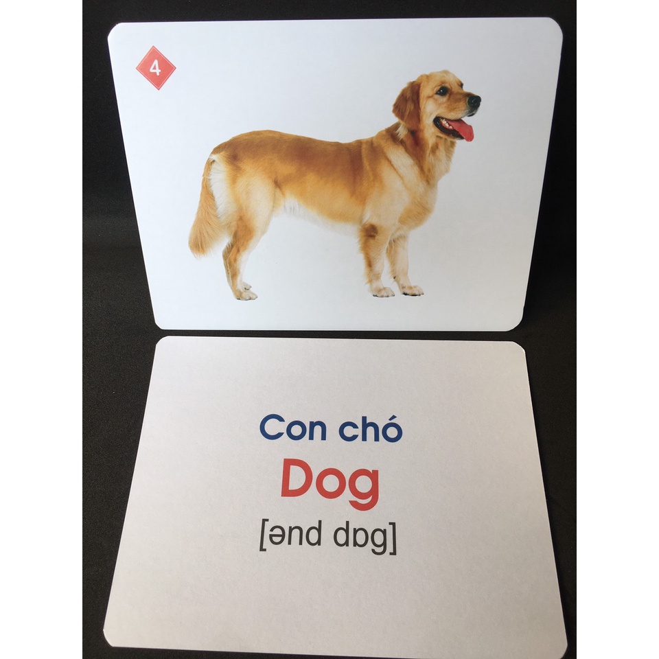 FLASH CARD - Bộ thẻ học thông minh song ngữ Việt - Anh có VIDEO PHÁT ÂM theo phương pháp giáo dục sớm của Glenn Doman