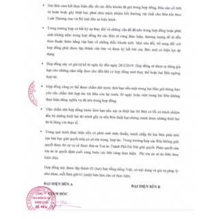 Núm Ty Giả Kichilachi Cho Bé ( Sỉ, Lẻ )