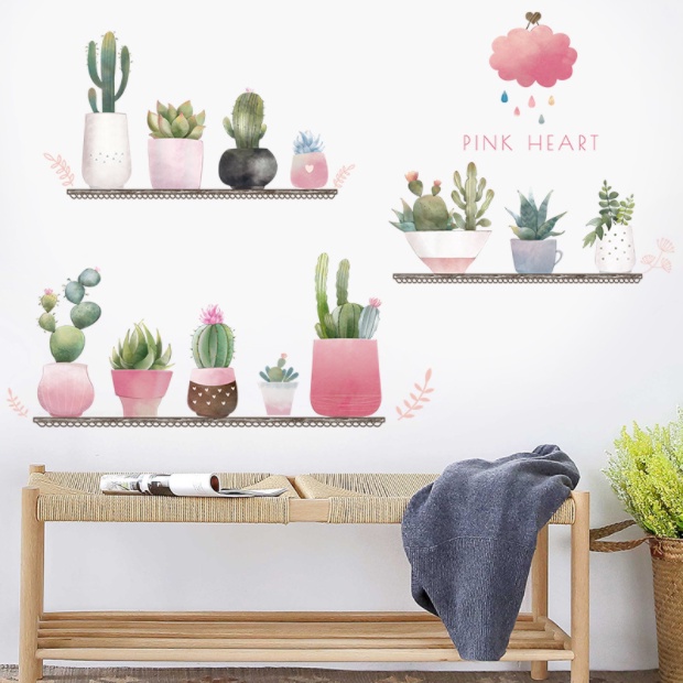 Decal trang trí tường - Những chậu cây xương rồng và sen đá