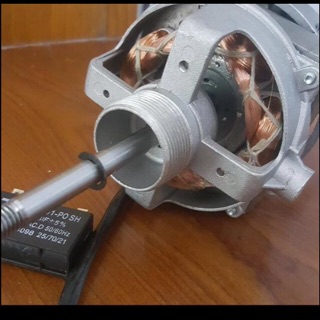 Môtơ trục quạt dây đồng điện 220V