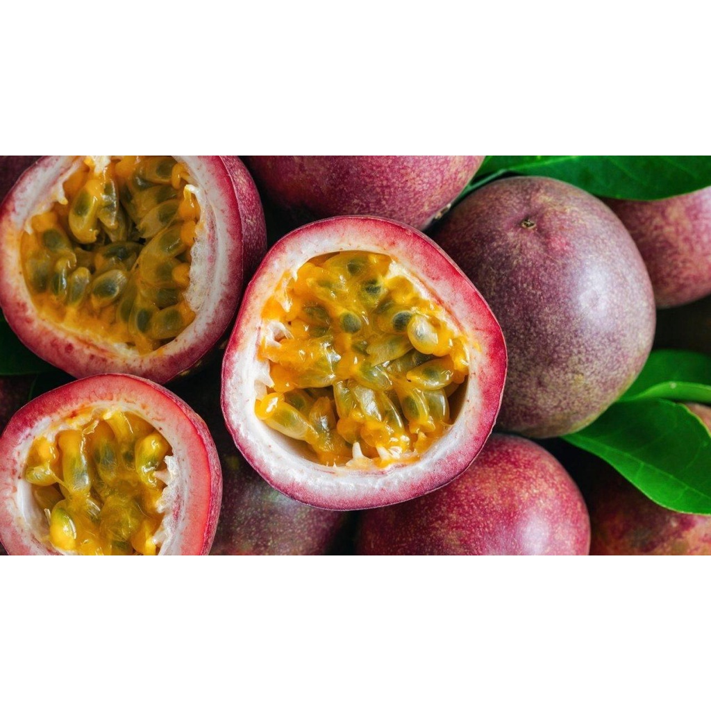 CÂY GIỐNG CHANH LEO TÍM SIÊU QUẢ -  GIÀU DINH DƯỠNG