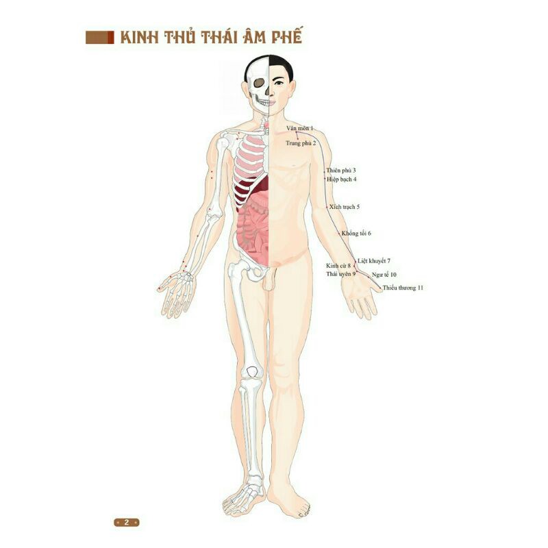 Sách_Đồ Giải Kinh Lạc Huyệt Vị Cơ Thể