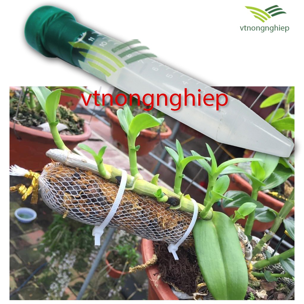 Kích kie Duy Xanh , đánh thức mắt ngủ của Hoa Lan hiệu quả.