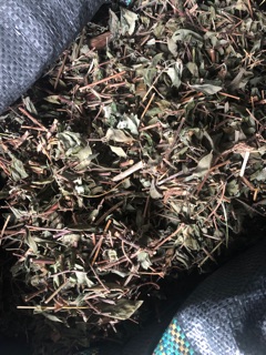 Kim Ngân khô thơm dưỡng tóc 100g