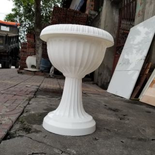 Chậu ly trồng cây
