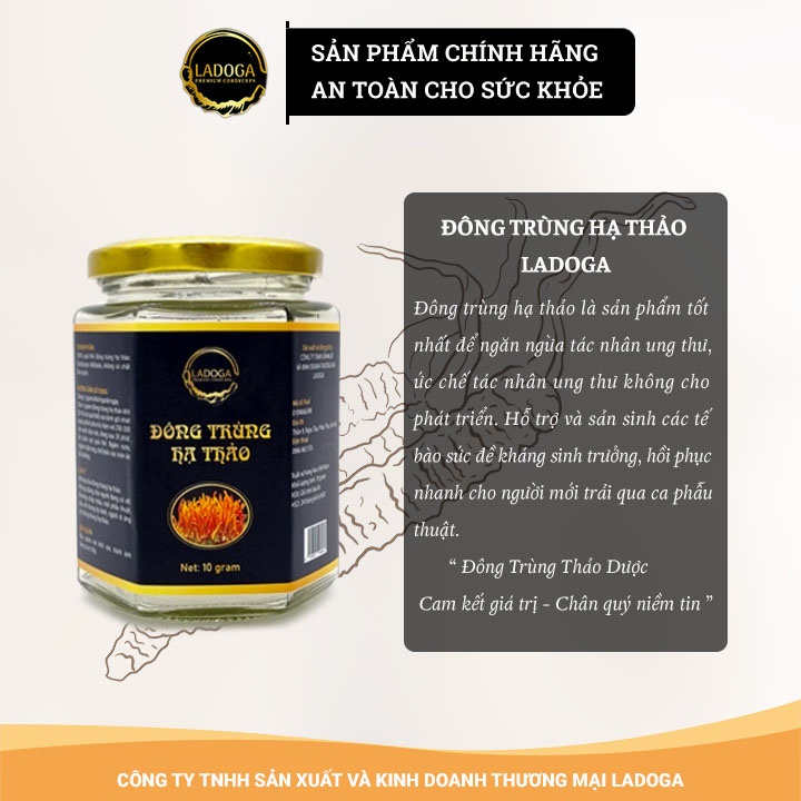Nấm Đông Trùng Hạ Thảo LADOGA sấy thăng hoa đóng hộp 10g