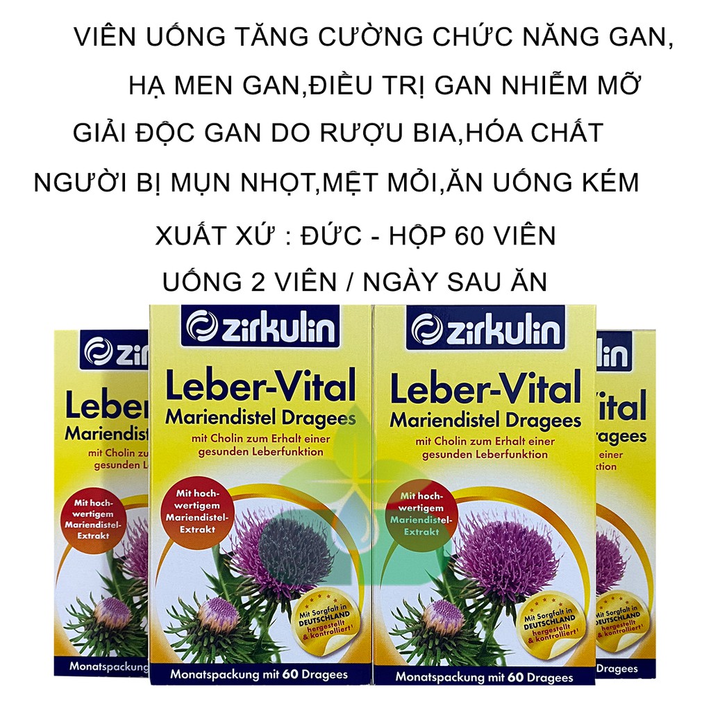 Zirkulin Leber Vital Viên Uống Giải Độc Gan, Tăng Cường Chức Năng Gan Chính Hãng Đức | BigBuy360 - bigbuy360.vn