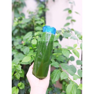 Bột Cỏ Lúa Mì non 500Gram nguyên chất sấy lạnh