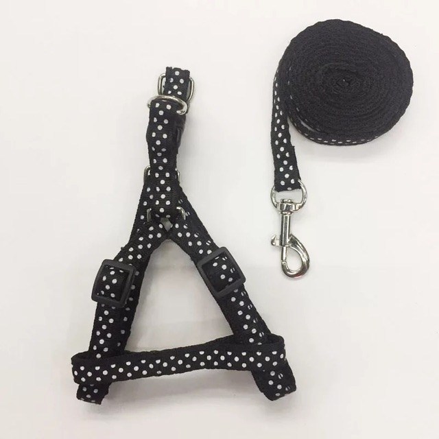 🔴 DÂY DẮT CHÓ MÈO HOẠ TIẾT BỀN DAI!!