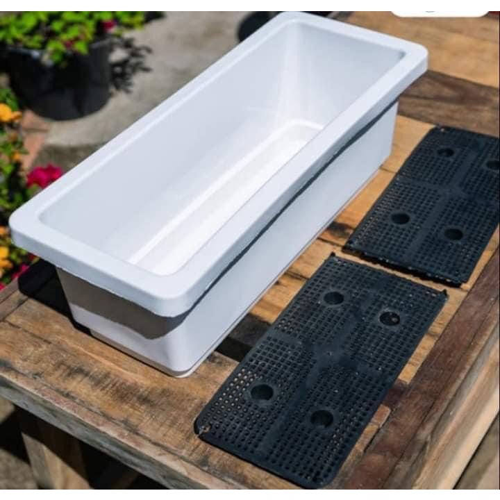 Chậu máng dài nhựa 48x20x16 cm trồng rau thông minh