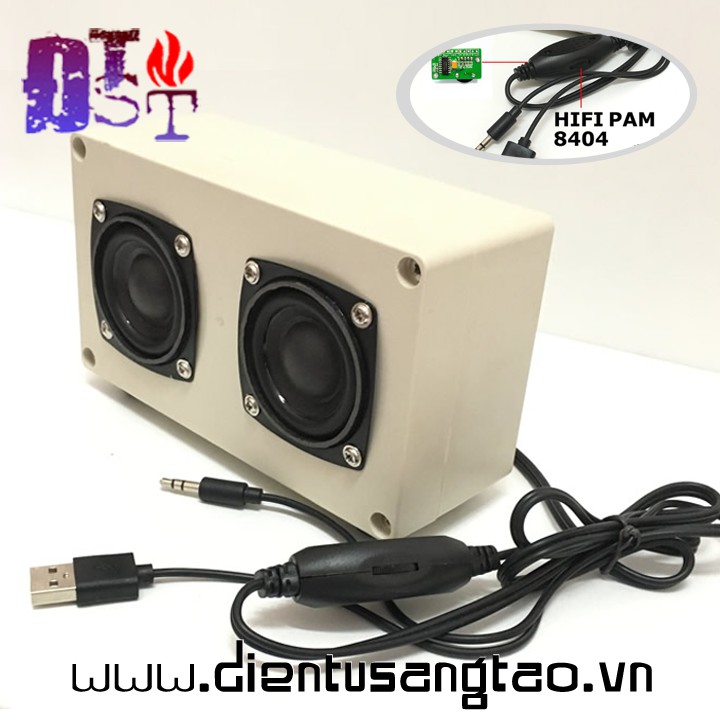 Bộ loa HiFi Pam 8404 DIY