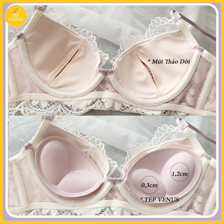 Bộ Đồ Lót - Áo Lót Ren Có Gọng Mút Tháo Rời 2.5cm - TEP-BCG01 | BigBuy360 - bigbuy360.vn