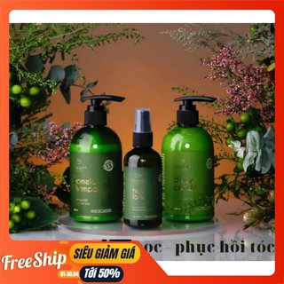 [FREESHIP] Combo Tinh Dầu Bưởi + Dầu Gội Bưởi + Dầu Xả Hoa Cúc ViJully Cosmetic