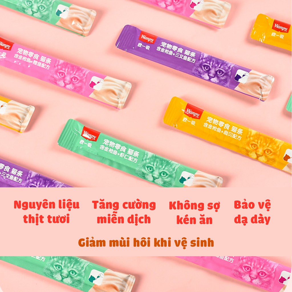 Súp thưởng cho mèo Wanpy thanh 14g