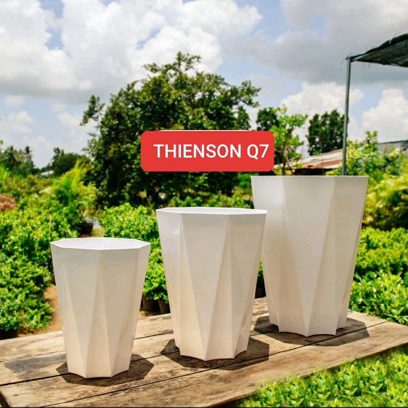 Chậu Nhựa Kim Cương 41*33Cm Xịn & Dày 8 Cạnh Trồng Cây