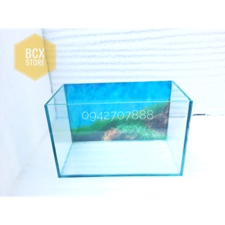 Bể cá mini cỡ 3018cm có dán tranh nền- bể cá để bàn giá rẻ
