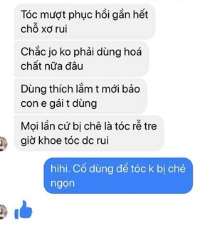 Dầu gội bồ kết trị gàu, rụng tóc, kích thích mọc tóc