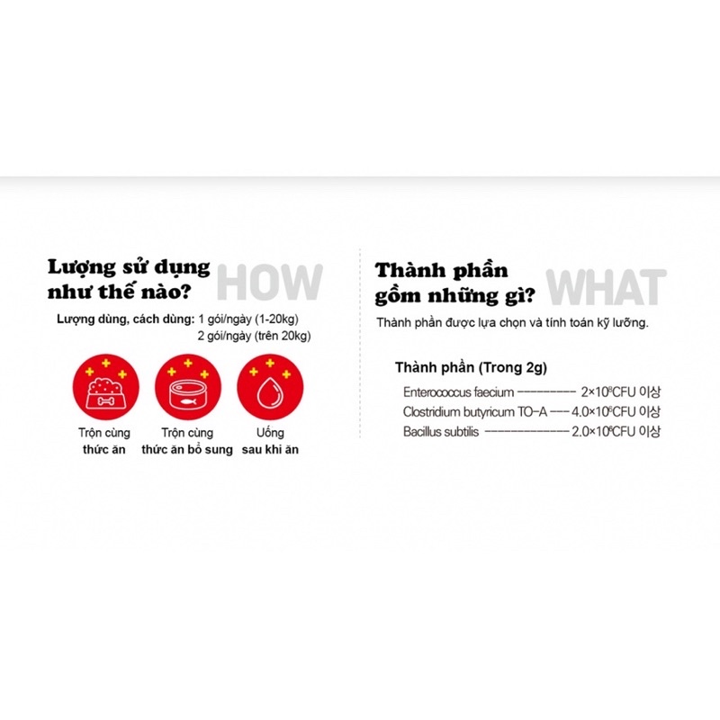 Men vi sinh hỗ trợ tiêu hoá cho chó mèo BIO3 PET 2g