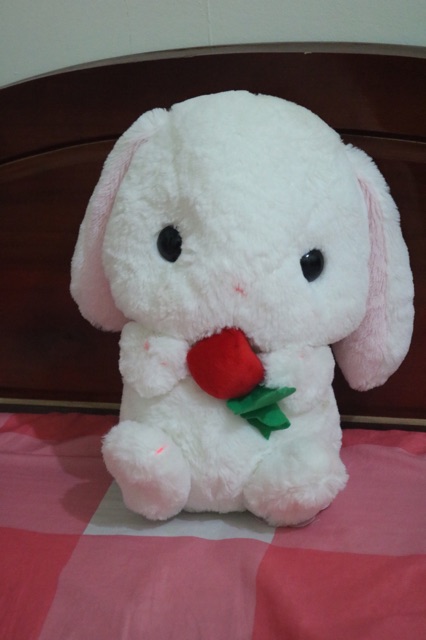 Thú bông thỏ ôm dâu Loppy bunny Amuse Plush chính hãng