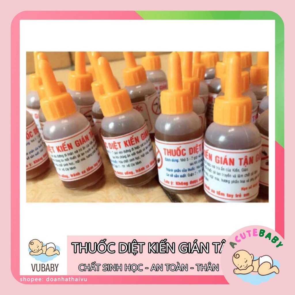 Thuốc diệt kiến gián tận gốc sinh học. an toàn thân thiện môi trường