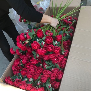 Sỉ 20 cành hoa hồng chơi tết. Đủ màu