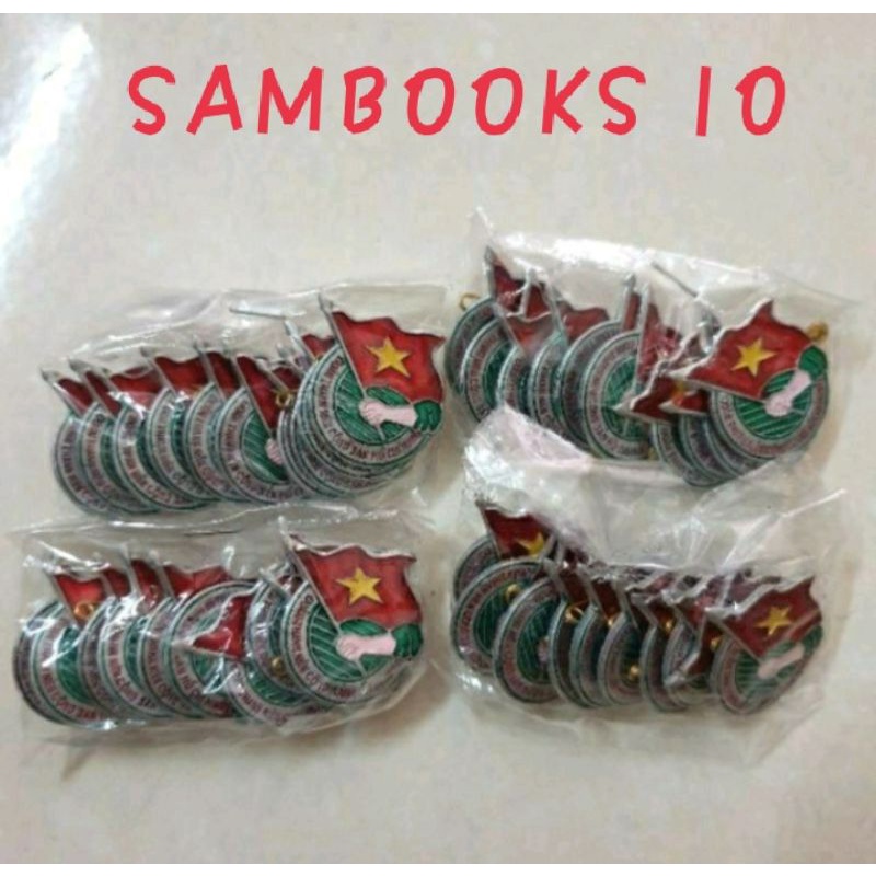 Combo 10 huy hiệu đoàn