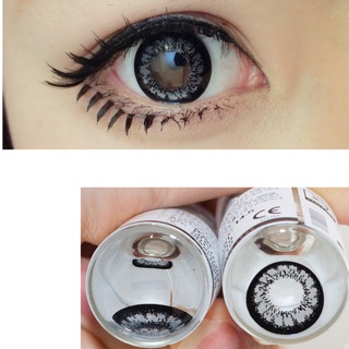 Combo lens King Gray trọn bộ
