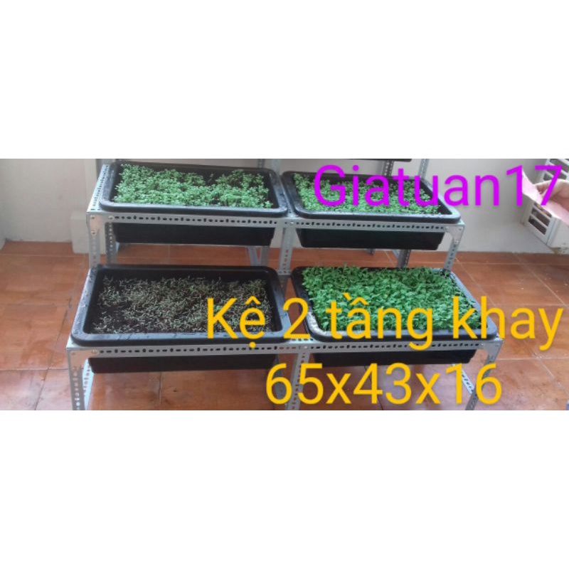 Kệ khung sắt v lỗ bậc thang trồng rau 2 tầng mỗi tầng 2 khay 65x42x15 cm,